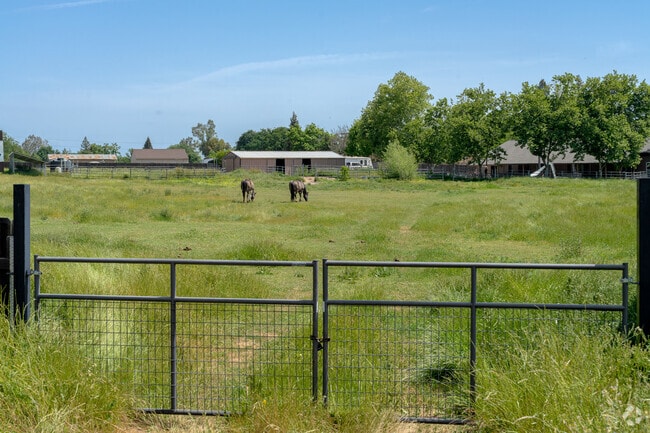 Many residents of Bianchi Estates have horses and other animals.