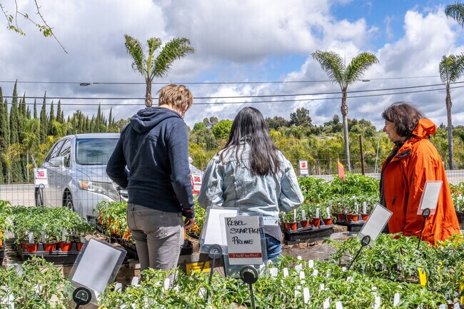 Locals enjoy talking to tomato pros at Tomatomania at Underwood Family Farms.