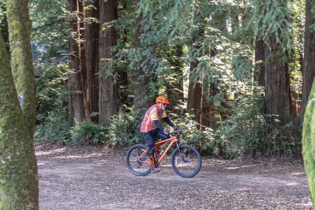 Mountain Biking on and around Mt Tam is within close proximity to Kentfield.