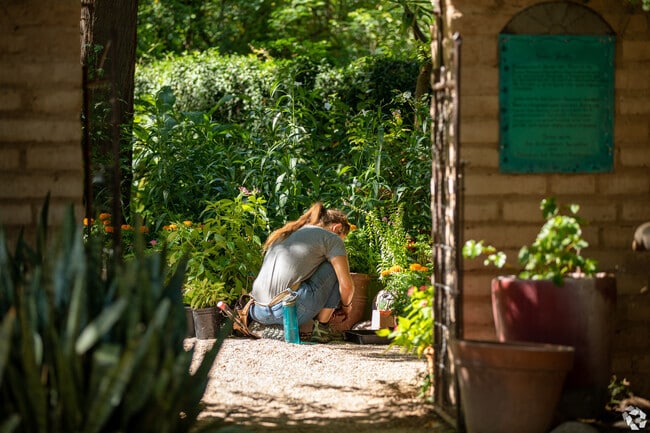 A Tucson Botanical Gardens employee plants new flowers.