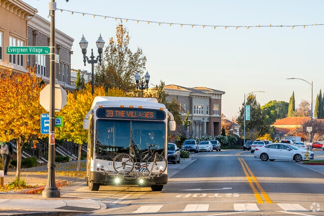 The VTA buses offer convenient transportation around the Chaboya area.