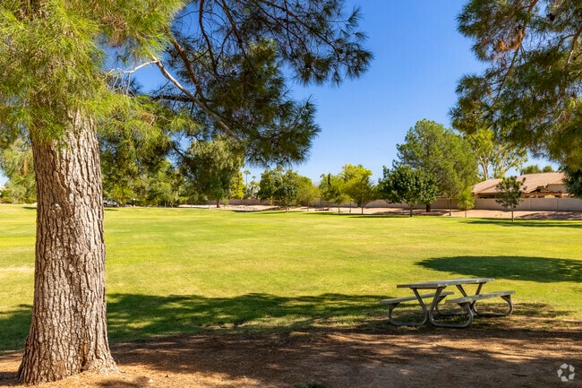 Scottsdale’s Rotary Park has many picnic tables available for anyone to use.