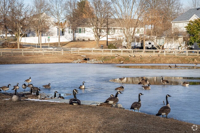 Easton is known for its easygoing vibe and proximity to the water and its inhabitants.