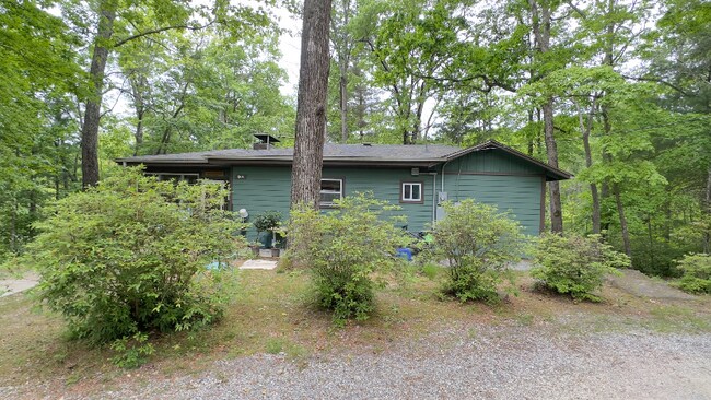 10 Lakemont Cottage Trail unit A, Flat Rock, NC 28731 - photo 3