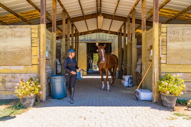 Riverbend Equestrian is a full service horseback riding training and boarding facility in Wilton.
