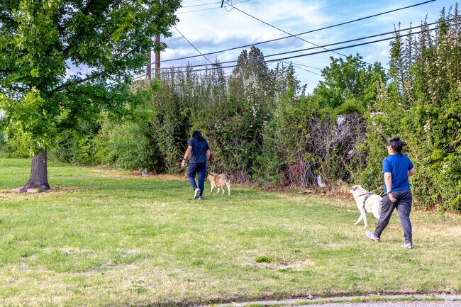 Come and have a walk with your furry friends at the Worker's Memorial Park.