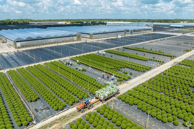 Alva is a place that offers large lots of land for nurseries.