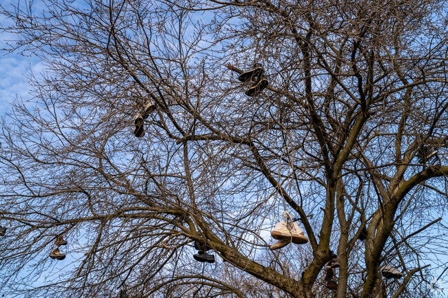 Gunsolly Mills Recreation Area, near Plymouth Township, displays impromptu artwork.