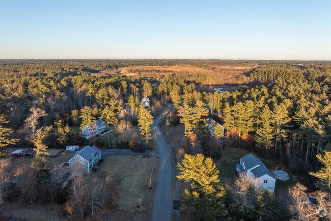 Tall pine trees give a Middleborough residence privacy from its neighbors.