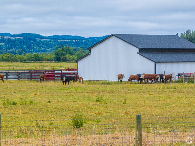 Satsop is the epitome of a rural environment.