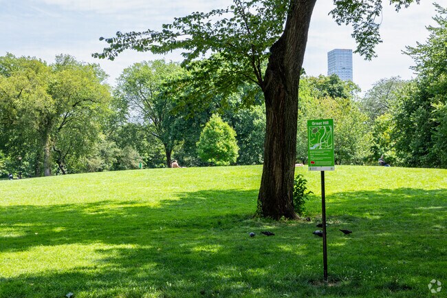 Soak up some sun on the Great Lawn in Central Park.