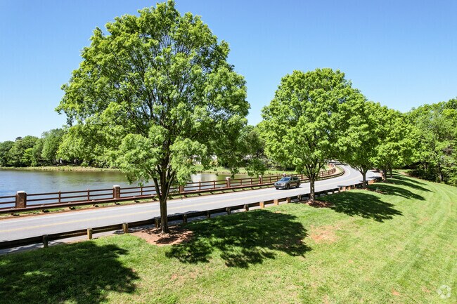 Tree lined streets on the opposite of Davis Lake.