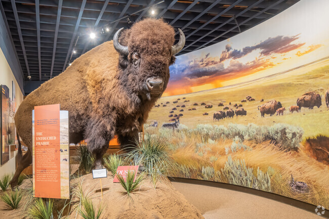 The XIT Museum in Dalhart offers exhibits that tell the history of Dallam and Hartley Counties.