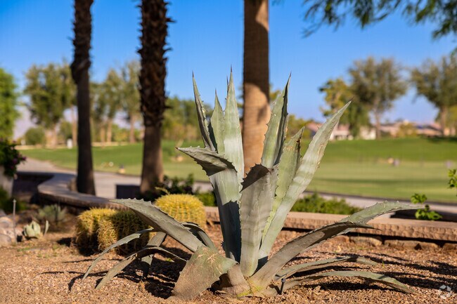 The whispering trees and chirping birds are nature's greeting at Shadow Hills.