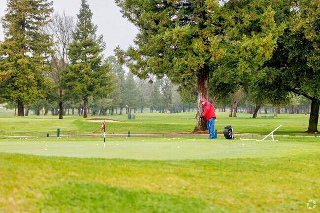 Experience the thrill of a round of golf at the prestigious Oakdale Golf and Country Club, where stunning landscapes meet impeccable greens.