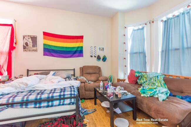 18 Cobden St, Roxbury, MA 02119 - photo 3