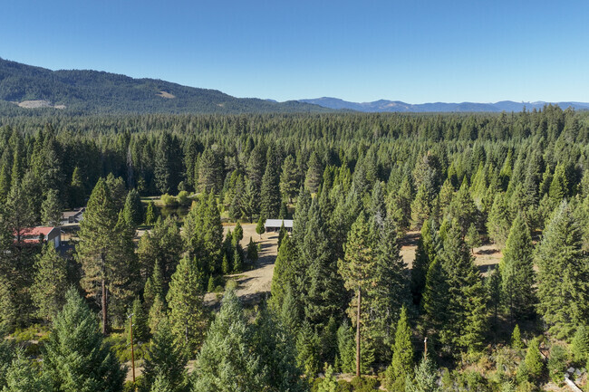 The Prospect neighborhood is in the center of organs forest.