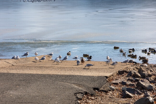 The wildlife likes the cold water of Lake Luxembourg at Core Creek Park.