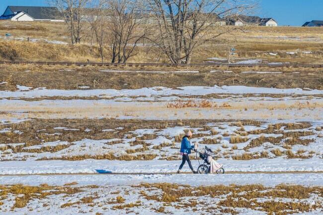 The trails in Erie cater to all skill levels, providing a safe and enjoyable experience for walkers and bikers alike. With well-maintained paths and ample greenery, they are ideal for exercise and leisurely strolls.