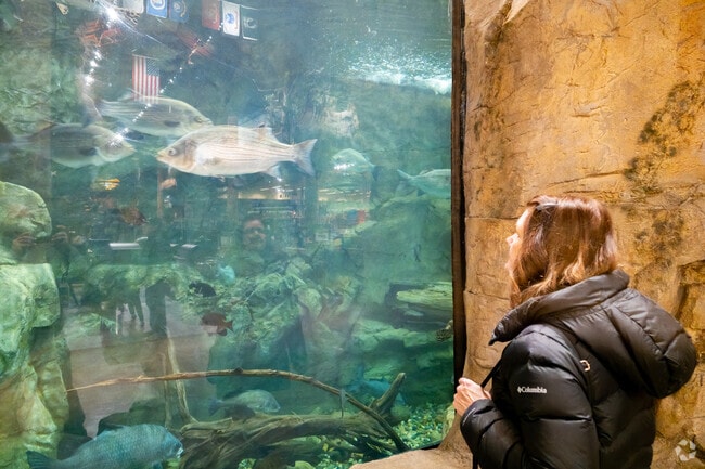 Altoona residents love the Bass Pro Shop's beautiful aquarium.