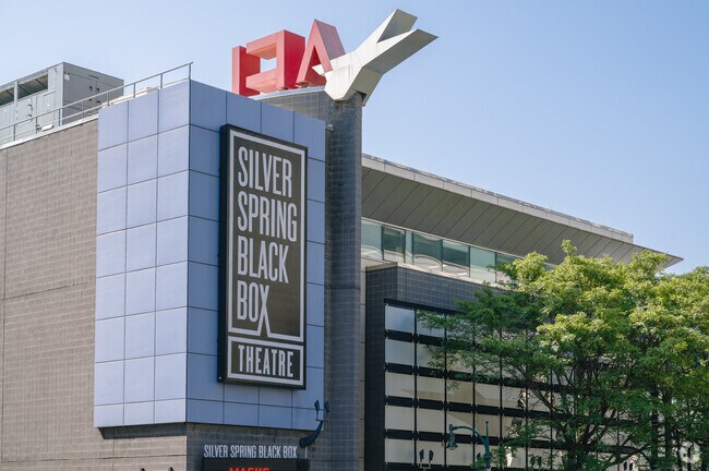 Catch a local film at the Silver Spring Blackbox Theater is located in Downtown Silver Spring.
