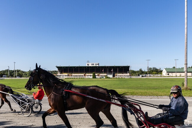 Watch harness racers train at the Bass Park track near Fairmount.