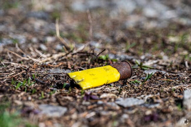 A spent shotgun shell in the Pennsylvania State Gamelands 297 near Amwell Township.