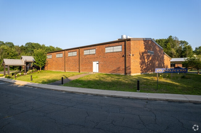 The student population of Antolini Schoolis made up of 49% female students and 51% male students