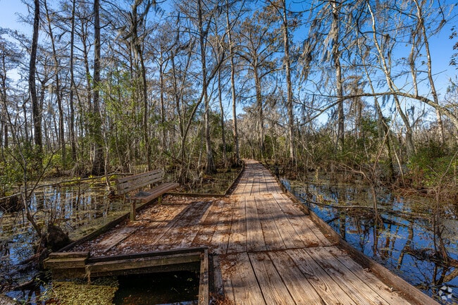 Enjoy a stroll down the boardwalk at the Barataria Preserve near Marrero.