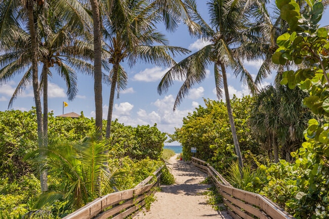 Beautiful beaches are just beyond the palm trees at Ocean Reef Park in West Palm Beach, FL.