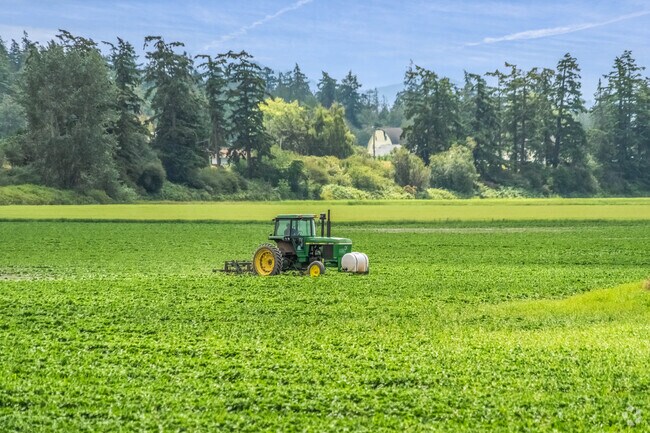 Bay View is surrounded by farmland where lots of berries are harvested.