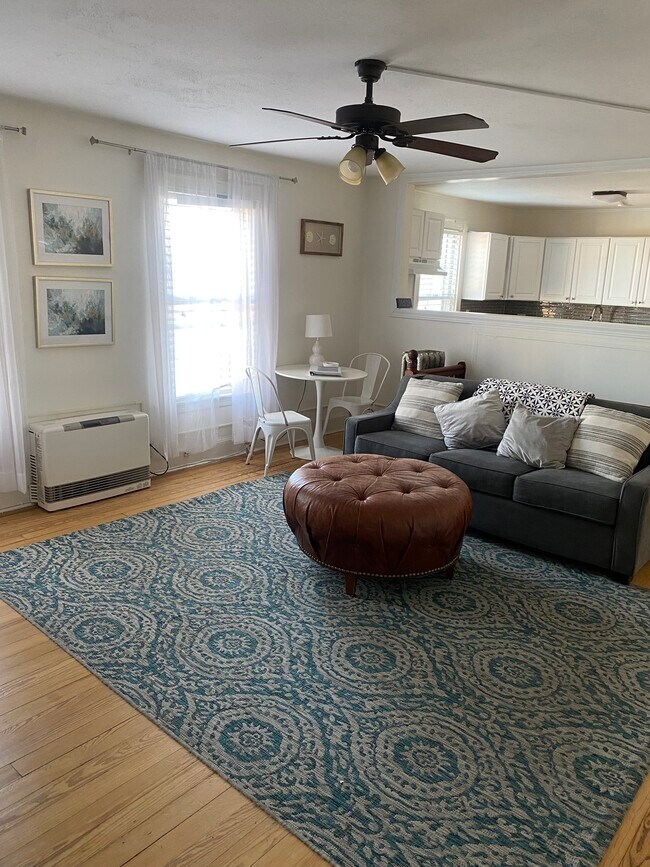 10 Pine St unit Stunning, Portland, ME 04102 - photo 7