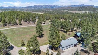 40 Peregrine Place, Pagosa Springs, CO 81147
