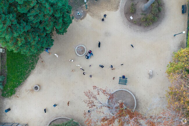 Cordes dogs mingle in City Hall Dog Park.