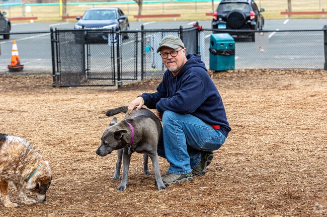 Salmon Brook Park’s dog area welcomes off-leash play in Granby.