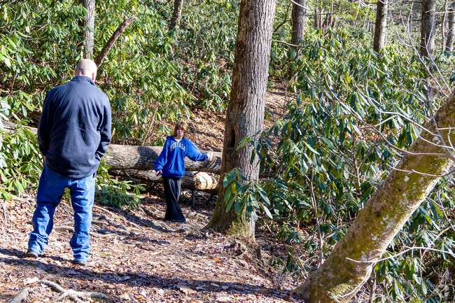 Hikers explore scenic trails leading to Blue Hole Falls near Elizabethton.