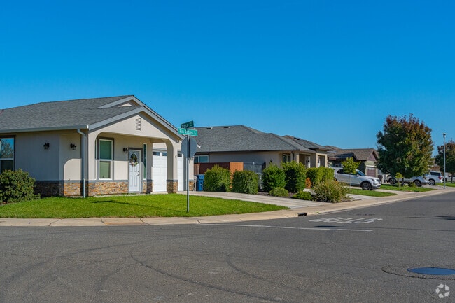 A row of homes showcases recent construction on the north side of Robla.