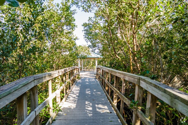 Boardwalk trails at Indian Rocks Beach Nature Preserve wind through mangroves and native habitat.