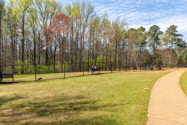 Caney Creek Preserve's separate large and small dog parks are a great amenity in Big Creek.