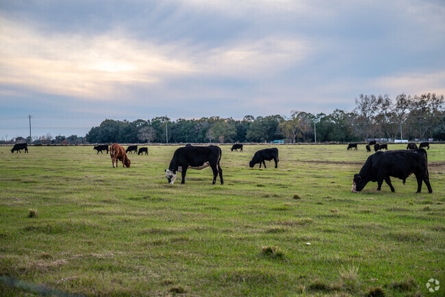Irvington offers rural charm with wide-open spaces and quiet roads.
