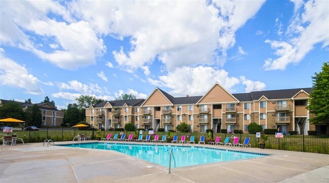 Pool and Lounge Area