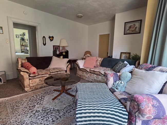 165 W Broadway St unit 2, Winona, MN 55987 - photo 4