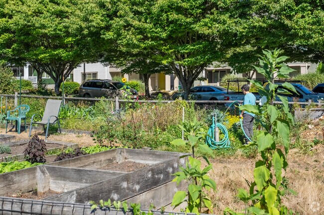 P-Patch at High Point Commons in High Point, is the heart of the community.