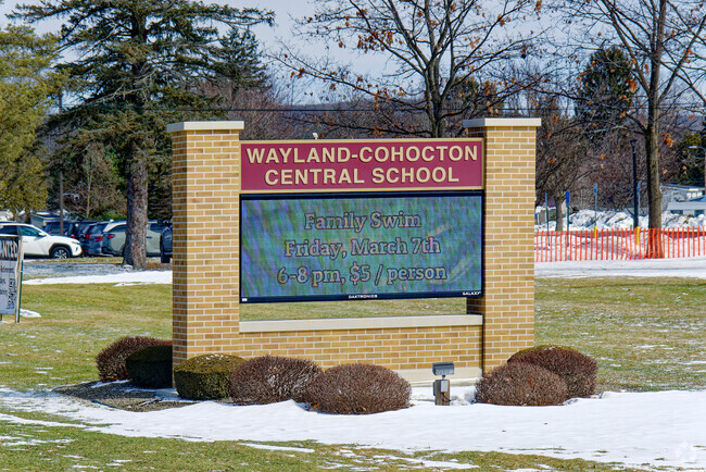 Wayland Cohocton High School in Wayland NY has a student body that is approximately 95 percent White with small percentages of other races.