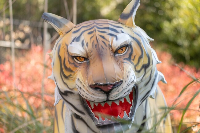 The zoo plans to build a larger tiger enclosure with glass-window viewing.