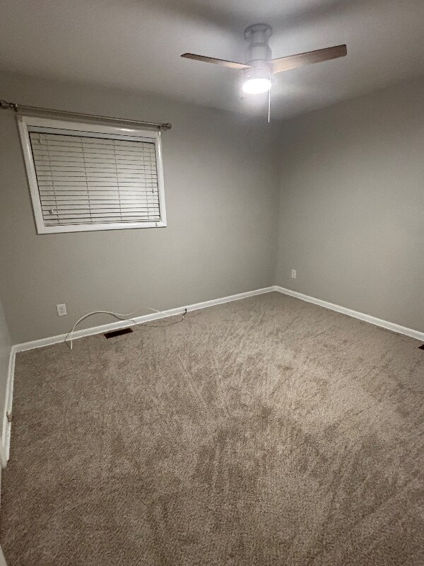 958 Effie Rd, Lexington, KY 40511 - photo 7