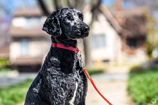 Westwood is one of the most charming neighborhoods in Kansas City.