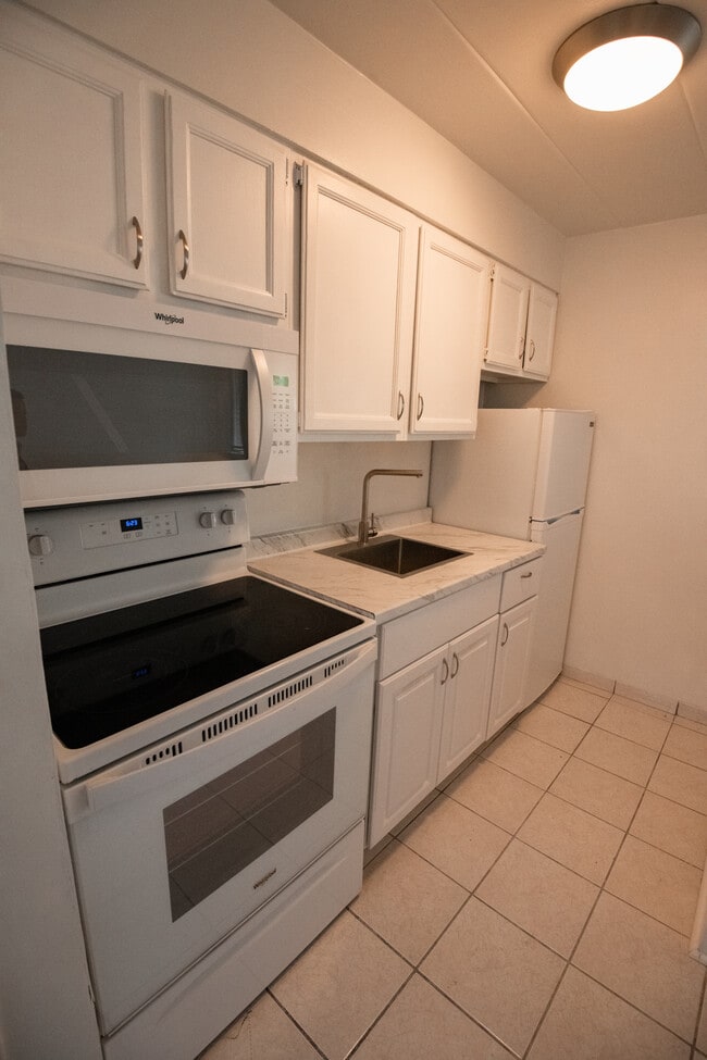 40 Harrison St unit 2, Oak Park, IL 60304 - photo 6