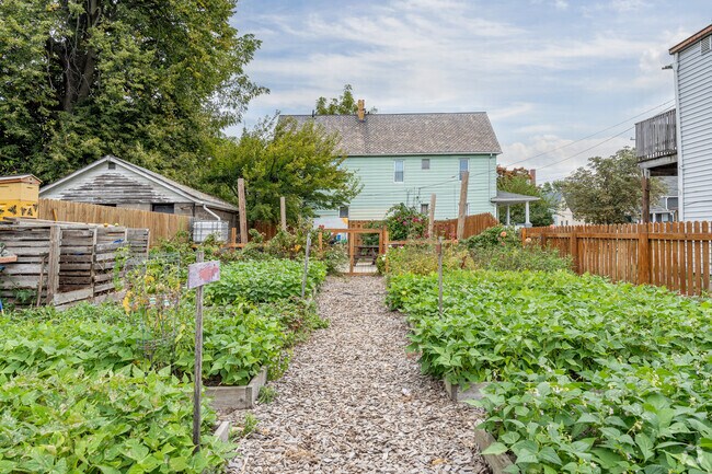 Envision Cleveland Community Garden provides fresh produce to the Clark-Fulton neighborhood