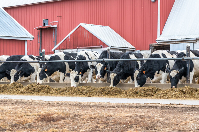 You don't have to go far from Meadow Crossing to find agricultural properties.